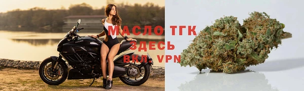 спиды Ельня