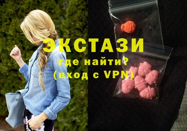 спиды Ельня