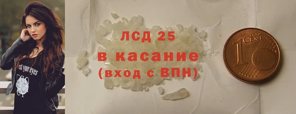 спиды Ельня