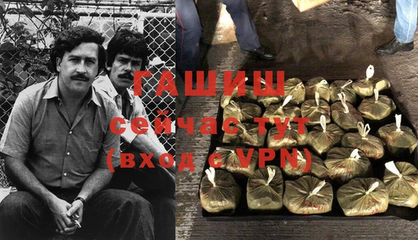 спиды Ельня