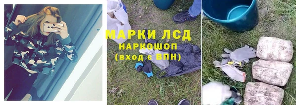 спиды Ельня