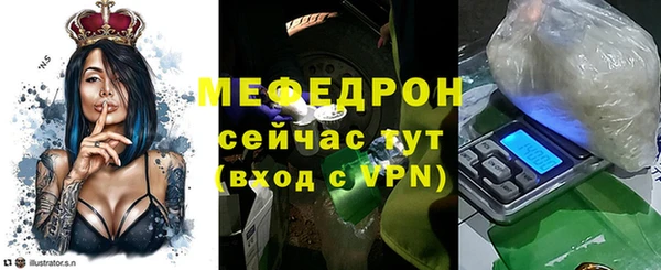 спиды Ельня