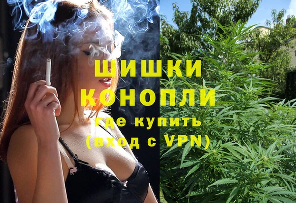 спиды Ельня