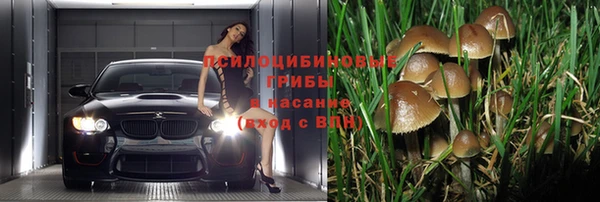 спиды Ельня