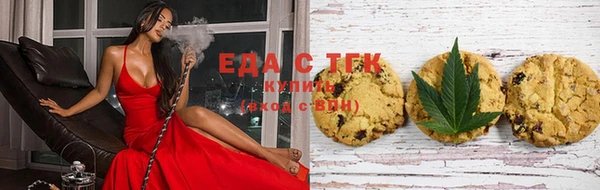 спиды Ельня