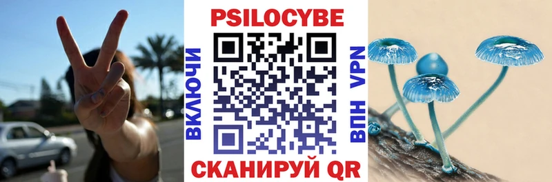 как найти закладки Калач Псилоцибиновые грибы GOLDEN TEACHER